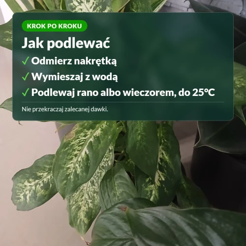 Jak podlewać nawozem do roślin zielonych