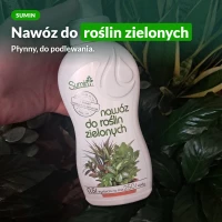 Nawóz do roślin zielonych Sumin, butelka 0,5 l
