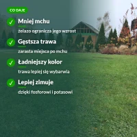 Nawóz na trawnik z mchem: mniej mchu, gęstsza i zielona trawa