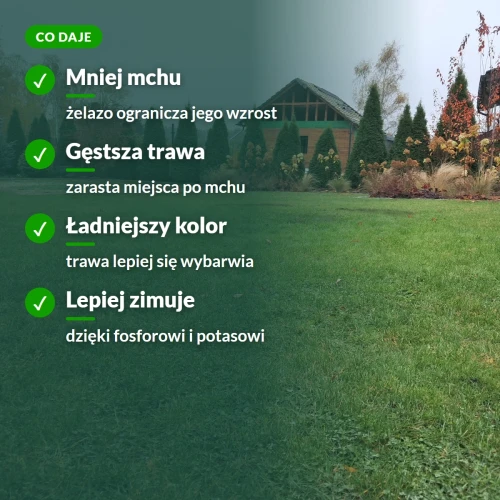 Nawóz na trawnik z mchem: mniej mchu, gęstsza i zielona trawa