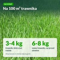 Nawóz na trawnik z mchem: dawki na 100 m²