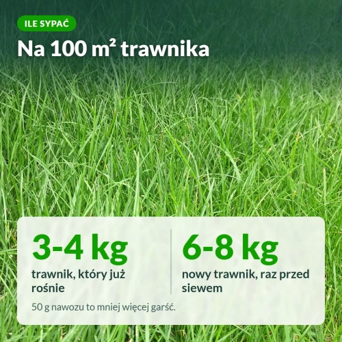 Nawóz na trawnik z mchem: dawki na 100 m²