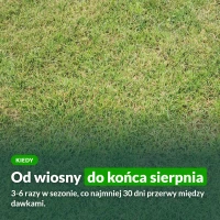 Kiedy stosować nawóz na trawnik z mchem: od wiosny do końca sierpnia