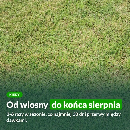 Kiedy stosować nawóz na trawnik z mchem: od wiosny do końca sierpnia