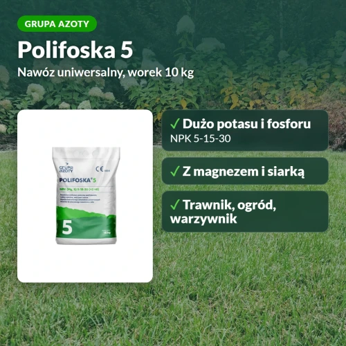 Polifoska 5 Grupa Azoty: nawóz uniwersalny NPK 5-15-30 z magnezem i siarką