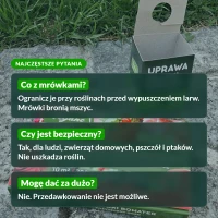 Złotooki bohater: najczęstsze pytania