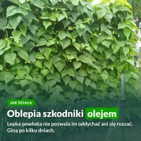 Jak działa Emulpar: olej rydzowy oblepia szkodniki