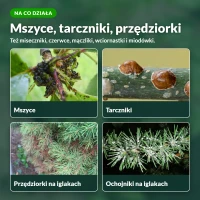 Emulpar Spray: na mszyce, przędziorki, tarczniki, mączliki