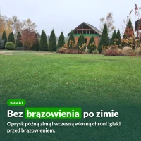 Emulpar na iglaki: bez brązowienia po zimie