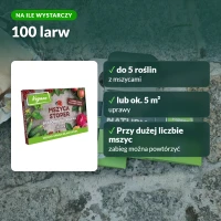 Mszyca Stoper: na ile wystarczy