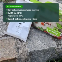 Kiedy stosować larwy biedronki