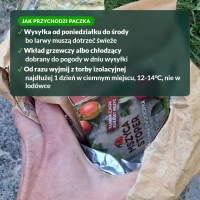 Mszyca Stoper: jak przychodzi paczka z larwami
