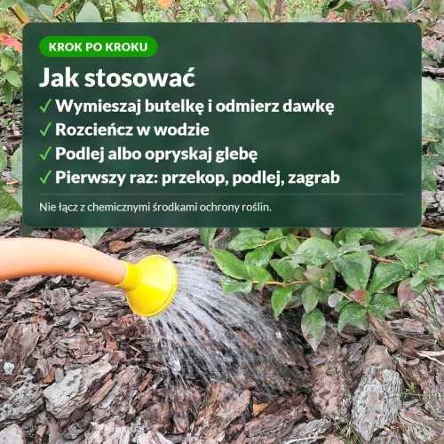 Jak stosować wrotycz ekstrakt Sumin