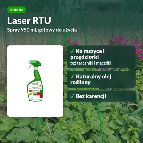 Laser RTU Sumin: spray na mszyce, przędziorki i tarczniki, gotowy do użycia