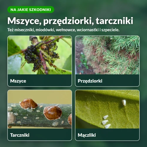 Laser RTU: mszyce, przędziorki, tarczniki, mączliki