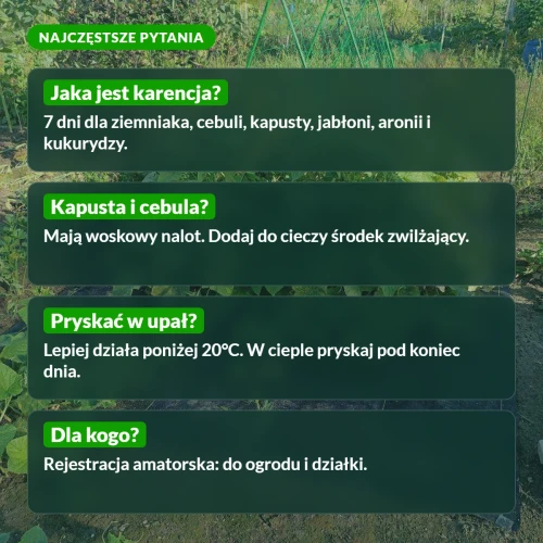 Karate Zeon: najczęstsze pytania