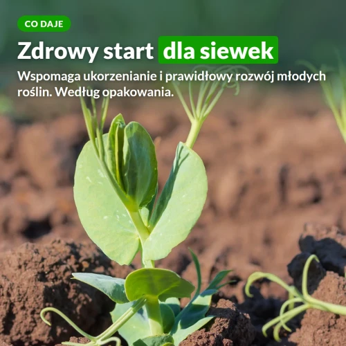 Podłoże do wysiewu Target: zdrowy start dla siewek, ukorzenianie