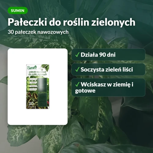 Pałeczki nawozowe do roślin zielonych Sumin, 30 szt., działają 90 dni