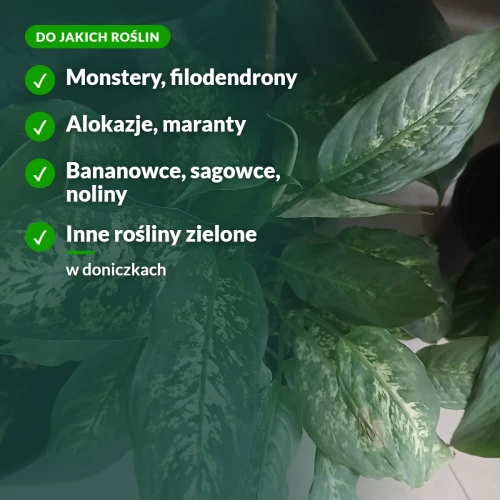 Pałeczki nawozowe: monstery, filodendrony, alokazje, maranty
