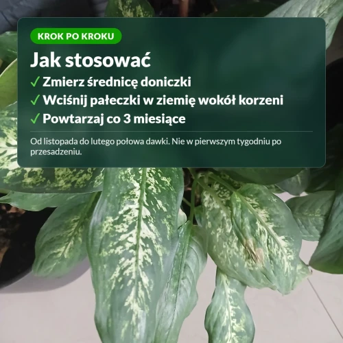 Jak stosować pałeczki nawozowe do roślin zielonych