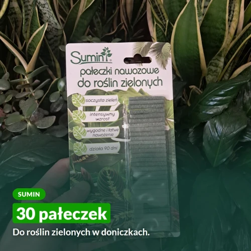 Pałeczki nawozowe do roślin zielonych Sumin, 30 pałeczek