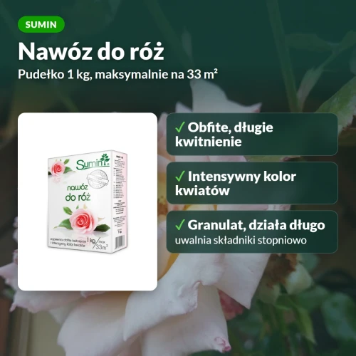 Nawóz do róż Sumin: obfite kwitnienie i intensywny kolor kwiatów