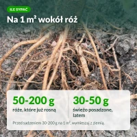 Nawóz do róż Sumin: dawki na 1 m²