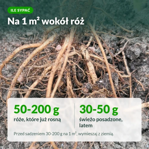 Nawóz do róż Sumin: dawki na 1 m²