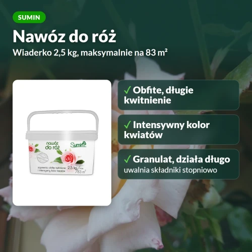 Nawóz do róż Sumin: obfite kwitnienie i intensywny kolor kwiatów