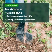 Jak stosować nawóz do róż