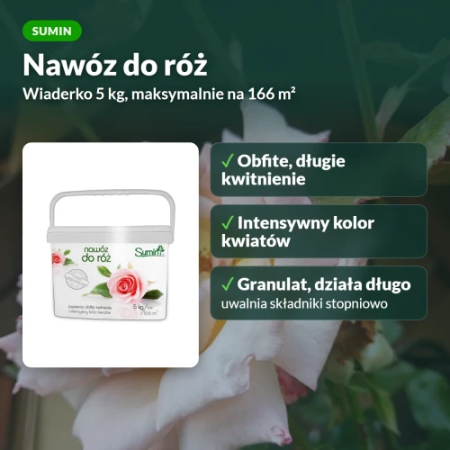 Nawóz do róż Sumin: obfite kwitnienie i intensywny kolor kwiatów