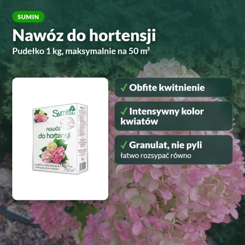 Nawóz do hortensji Sumin: obfite kwitnienie i intensywny kolor kwiatów