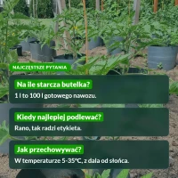 Ekopomidor: najczęstsze pytania