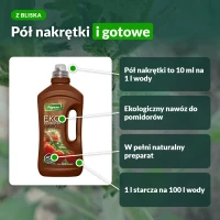 Ekopomidor: pół nakrętki, czyli 10 ml na 1 l wody