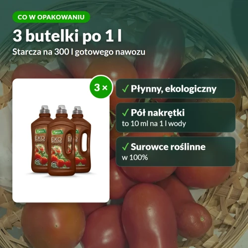 Ekopomidor Vegano: co w opakowaniu