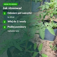 Jak stosować Ekopomidor: odmierz, wlej, podlej