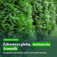 Siarczan amonu: zakwasza glebę, wzmacnia trawnik na wiosnę
