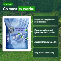 Siarczan amonu Ogród Start: azot 20,8%, siarka 60%, kryształki
