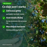 Jak działa siarczan amonu: zakwasza glebę, azot działa dłużej