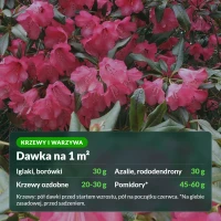 Siarczan amonu: dawka na 1 m² dla iglaków, borówek, azalii, pomidorów