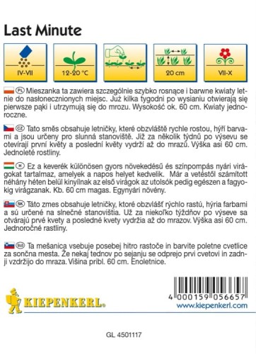 Mieszanka Kwiatów Last Minute – Nasiona – Kiepenkerl - tył