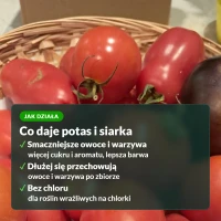 Jak działa siarczan potasu: smak, aromat i trwałość owoców i warzyw
