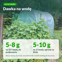 Siarczan potasu rozpuszczalny: dawka na wodę do podlewania i oprysku