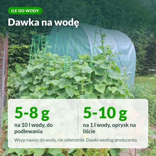 Siarczan potasu rozpuszczalny: dawka na wodę do podlewania i oprysku