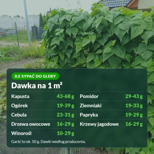 Siarczan potasu rozpuszczalny: dawka na 1 m² do gleby