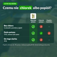 Siarczan potasu a chlorek potasu i popiół