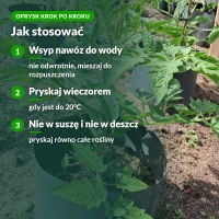 Jak stosować siarczan potasu rozpuszczalny: oprysk krok po kroku
