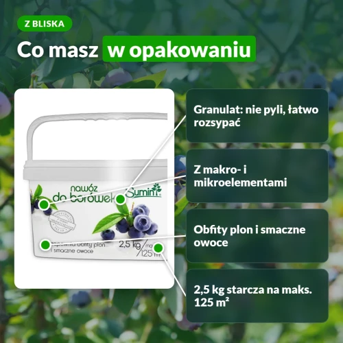 Sumin nawóz do borówek: granulat z makro- i mikroelementami