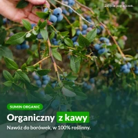 Sumin Organic: organiczny nawóz do borówek z kawy