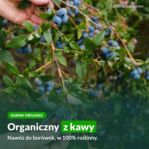 Sumin Organic: organiczny nawóz do borówek z kawy